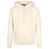 Basic hoodie Thumbnail
